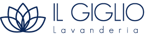 logo Lavanderia